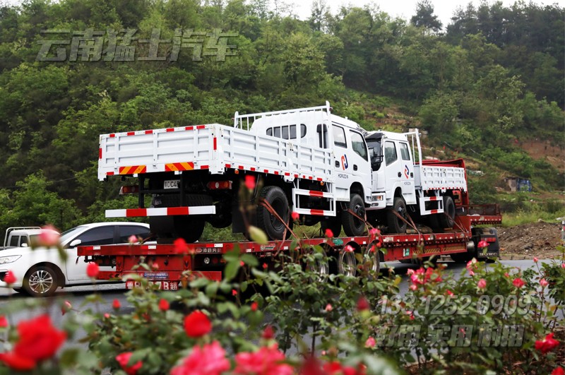 雙排輕卡,出口非洲,十堰泛亞貿易,汽車出口,四驅輕卡